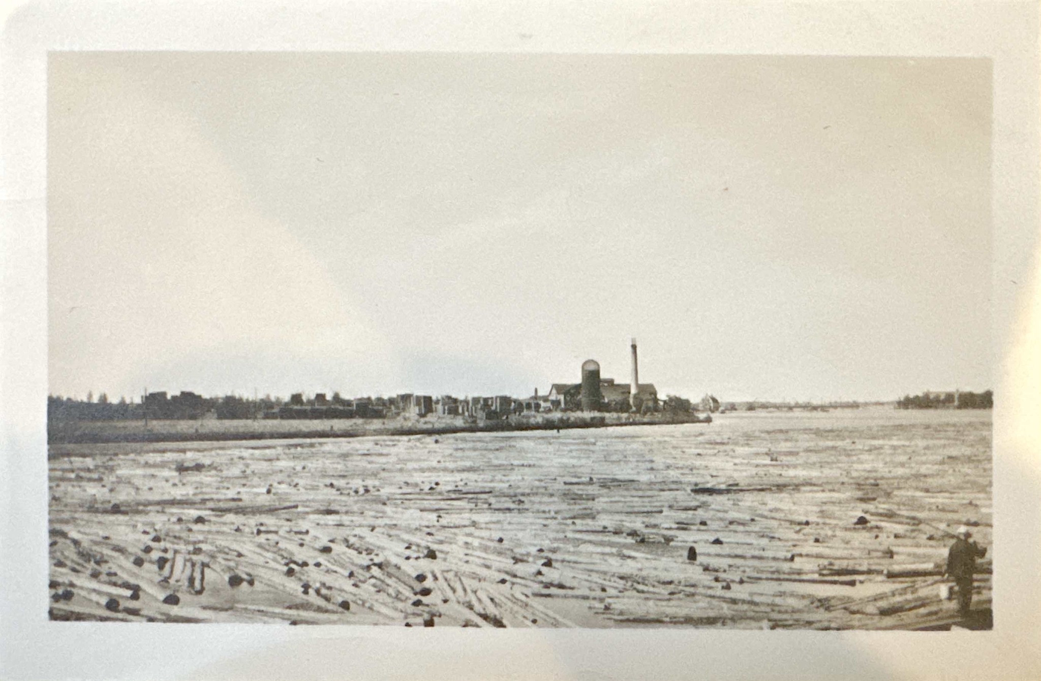 Logs on the Mississippi River with Pine Tree Company buildings across the water.