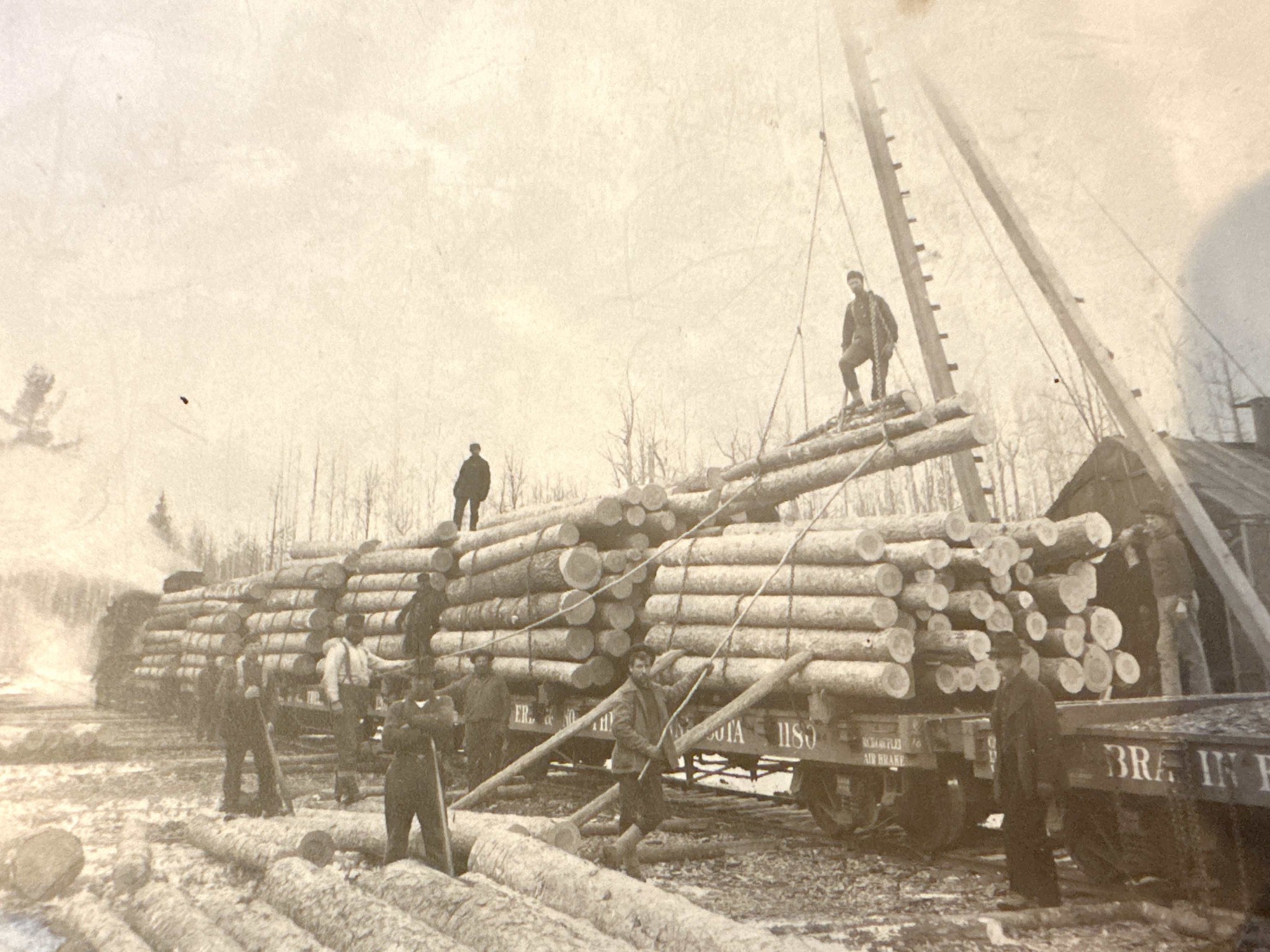 Workers and a hoist beside railroad cars loaded with logs.